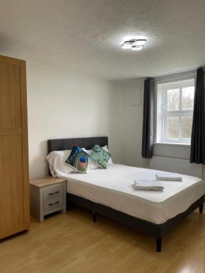 2Bed Cozy Spacious apartment - 15min to Canary Wharf O2 Excel Central London